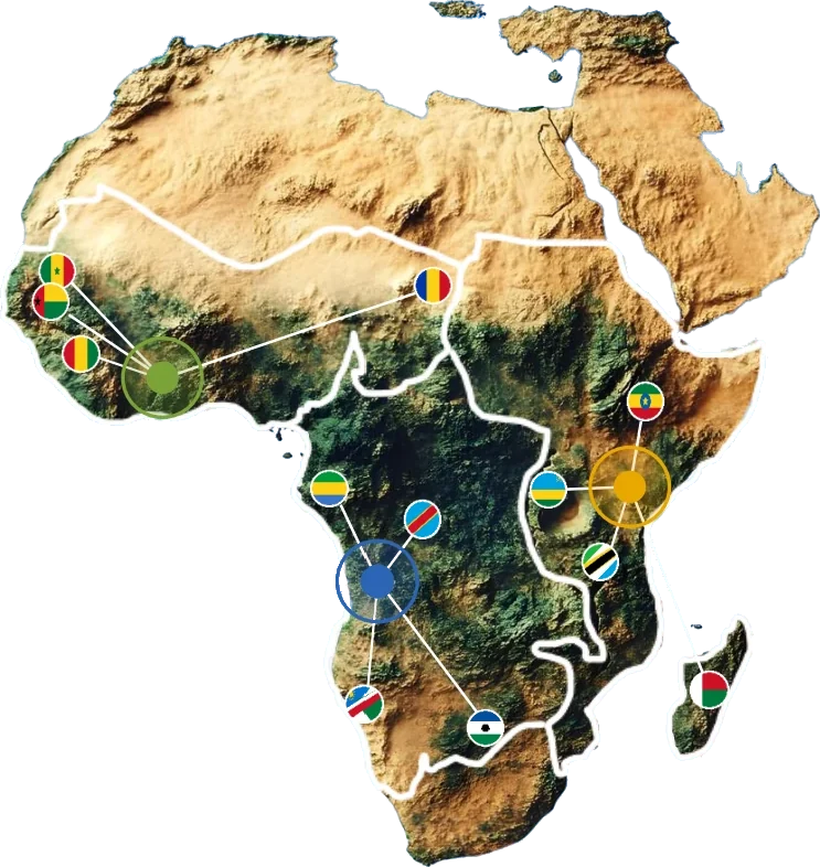 Carte de l'Afrique : les trois hubs industriels de TSISSA MEDICINES (Côte d'Ivoire, Angola et Kenya) et les pays associés à chacun, signalés par leur drapeau.